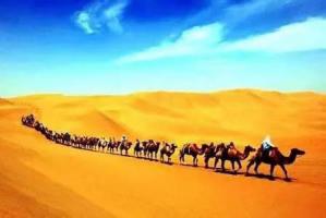 西北五省青海篇 | 新疆丝路基建会观众组织获西宁专业观众强烈反响！