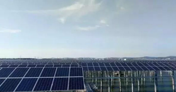 晶澳海外业务增长迅速 巴西、马来西亚光伏电站均采用其高效单晶PERC组件