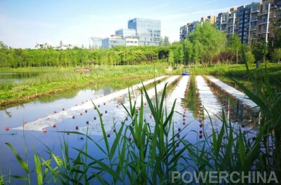 合肥市巢湖原位水质提升试点工程顺利实施