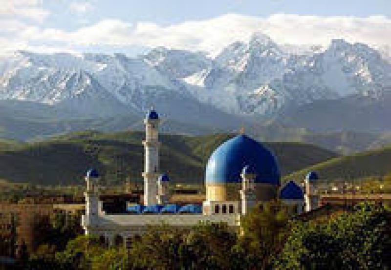 哈萨克斯坦的专家讨论了向替代能源转变的计划