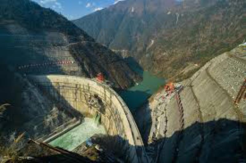 促进水电建设与环境保护：大渡河流域珍稀鱼类增殖放流活动在大岗山水电站库区举行