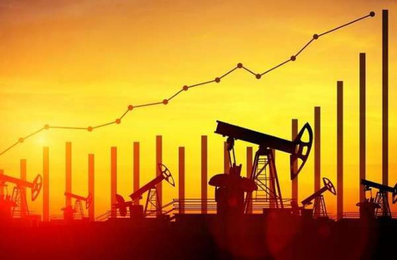 国际石油价格的不确定性引发埃及预算危机