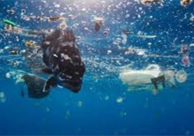 阿曼将禁止所有超市使用塑料袋