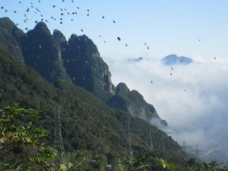 翻越秦岭15公里无人区 吉泉特高压直流输电工程全线架通