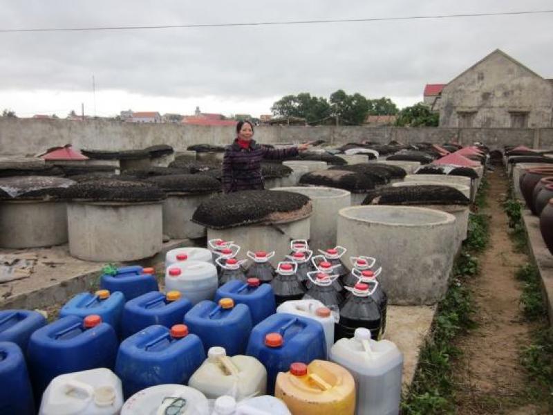 太阳能技术在鱼酱生产中的应用