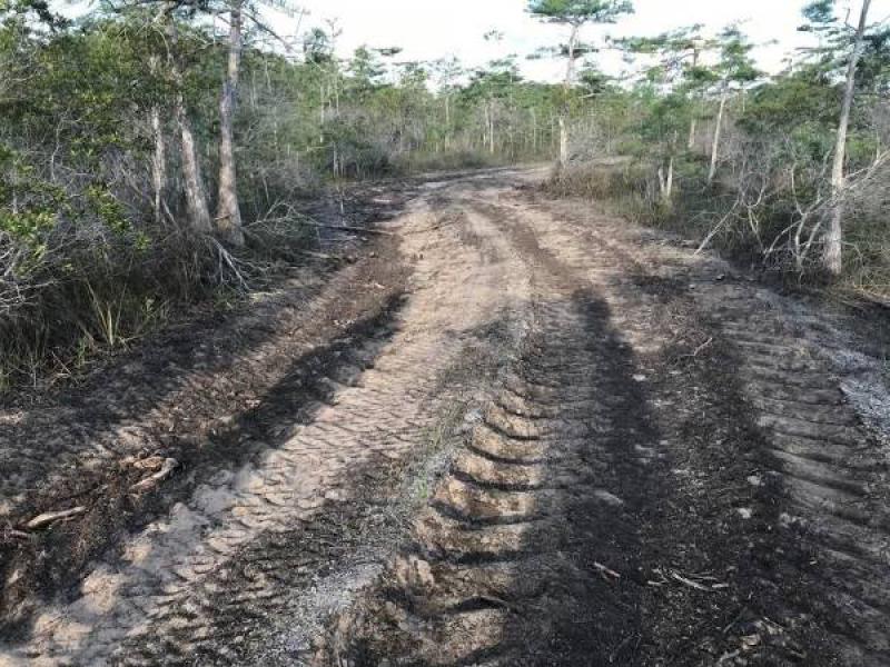 佛罗里达州将禁止在大柏树国家保护区内勘探石油