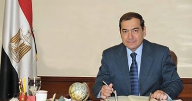 埃及：德国公司提供炼油和石化项目的合作