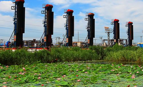 DEDP计划在2018年安装太阳能干燥系统