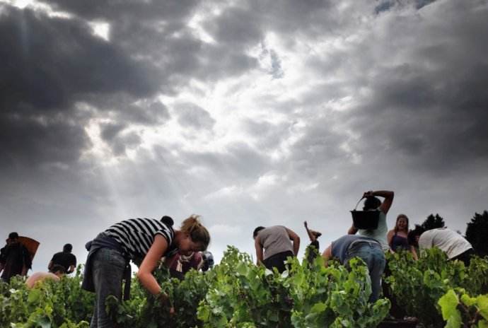 法国农民开始对棕榈油进口实行炼油厂封锁