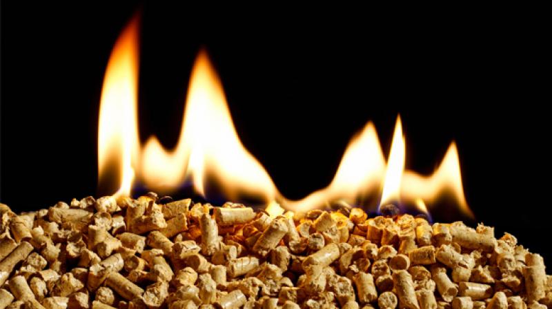 波斯尼亚和黑塞哥维那利用生物质能锅炉组成的可再生能源发电厂