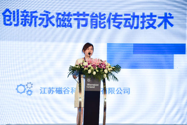 孙婷：提高电力以及相关设备的效率是非常重要的节能方式