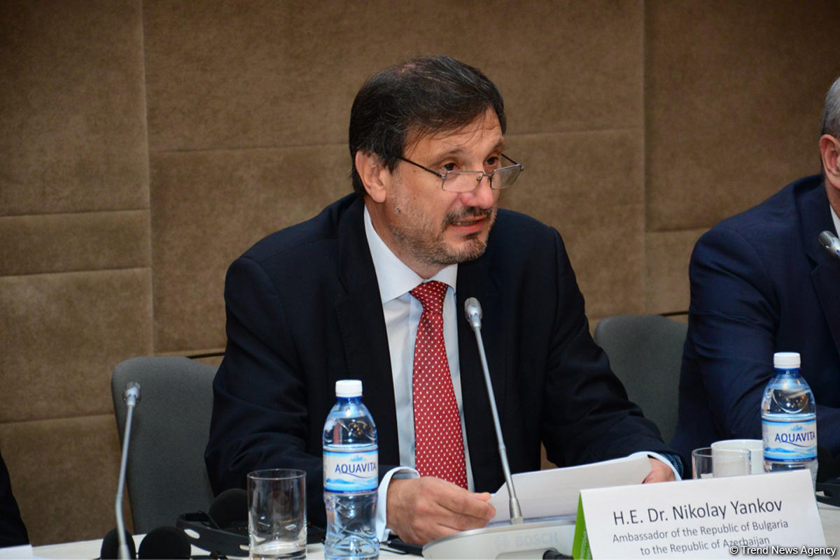 阿塞拜疆是确保欧洲能源安全的重要伙伴：大使