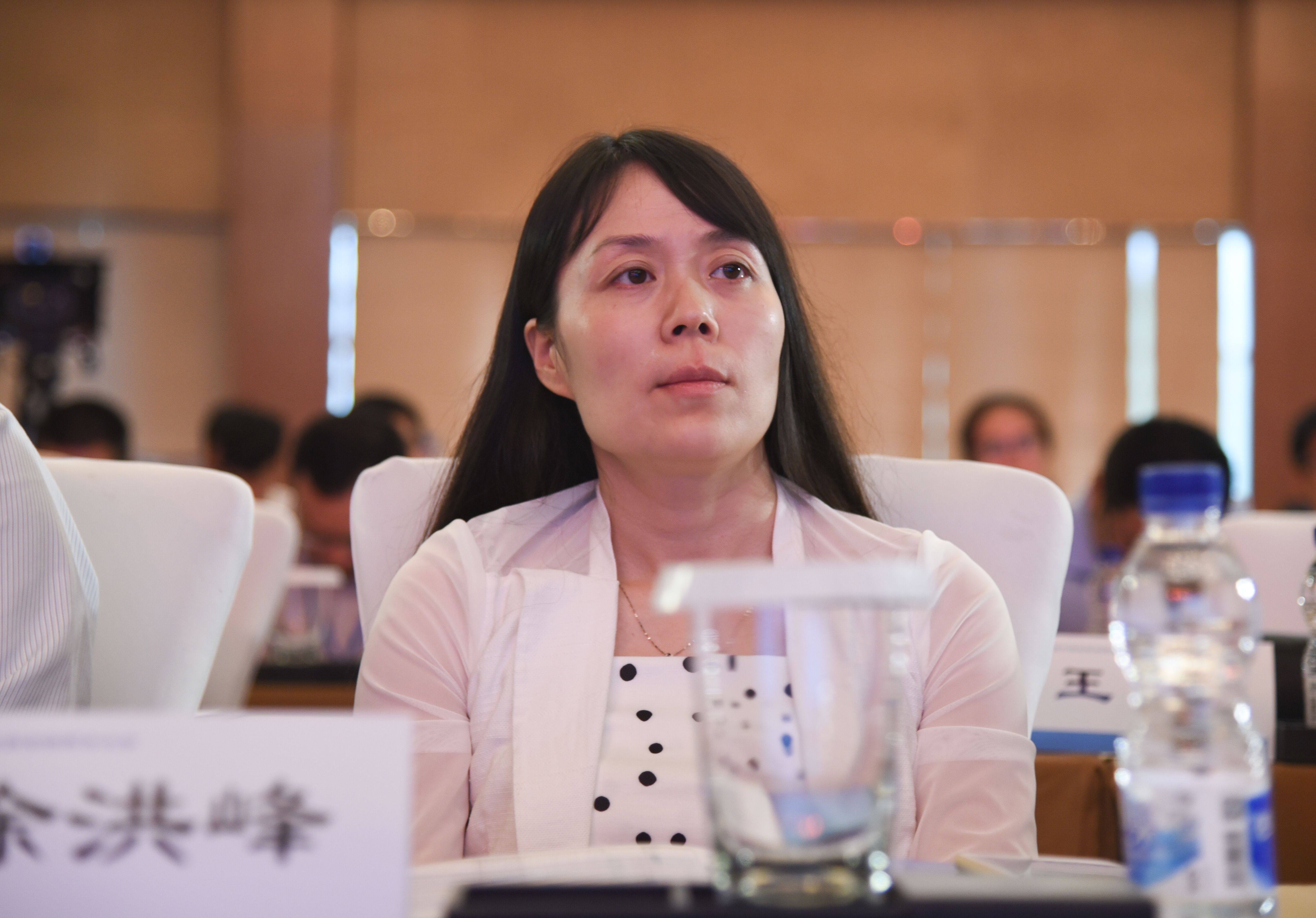 徐洪峰：绿色金融助力光伏发展