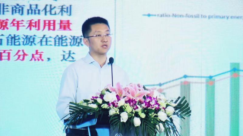 陶冶：中国可再生能源发展及市场趋势