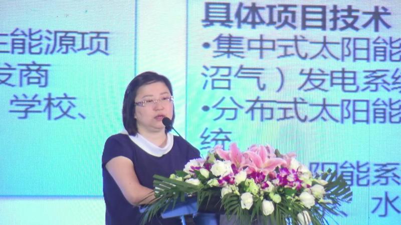 彭凌：深耕绿色金融能效市场，助力全球气候治理