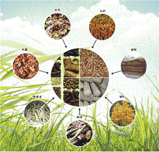 张大勇：生物质能工程更是环保与民生工程