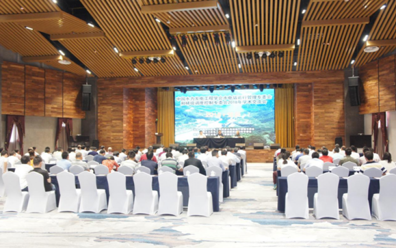 水电站运行管理、梯级调度控制专委会联合召开2018年学术交流会