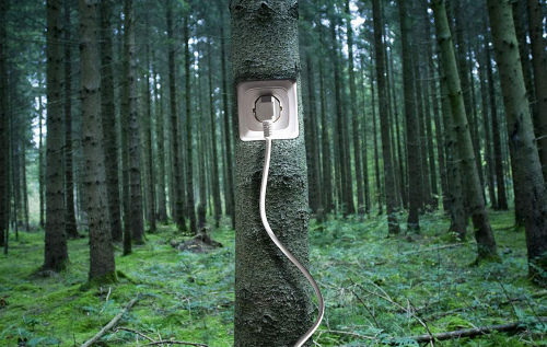 释放生物质能产业“大能量”，推动综合能源服务新发展