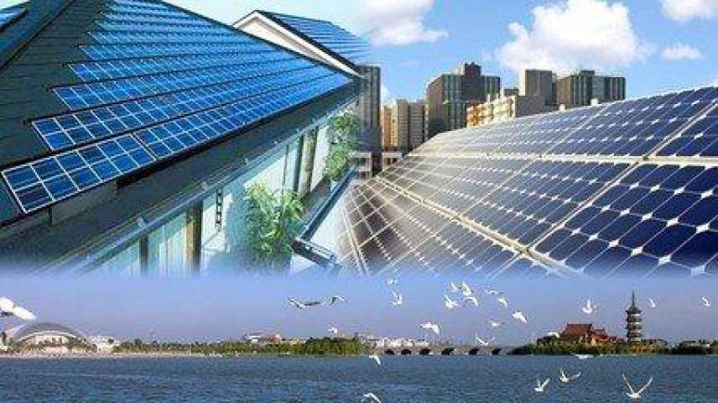 石定寰：光伏产业要加快创新 探索更多应用市场