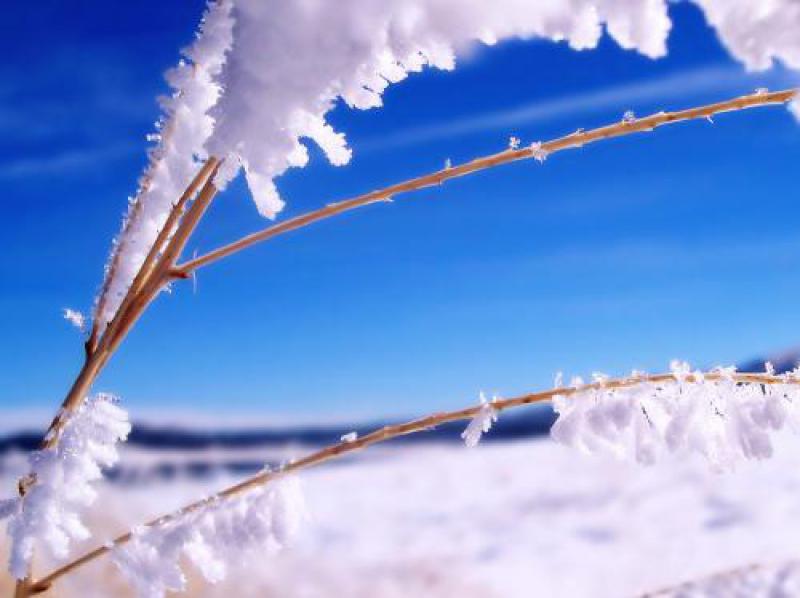 美对华进口太阳能产品征收额外25%关税