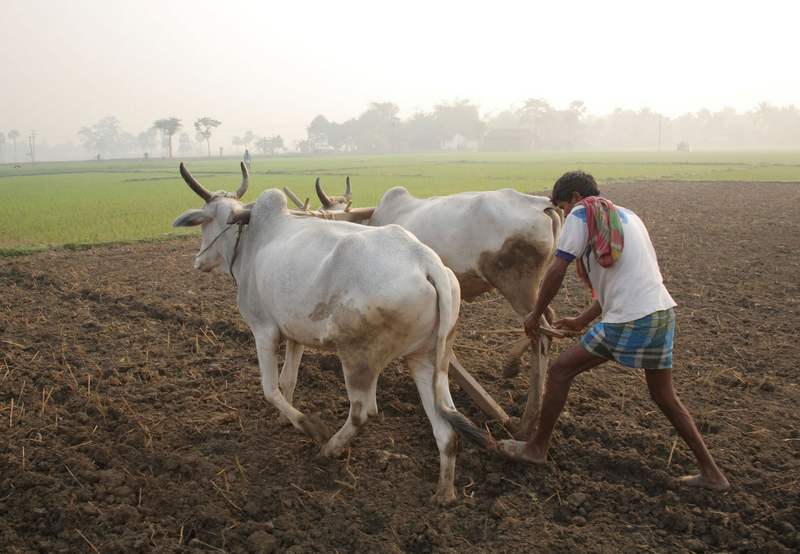 AG供应商的太阳能项目在马哈拉施特拉获得30年物业税退税