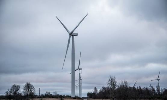 强风使爱沙尼亚风电场满负荷运转，电力市场价格也受影响