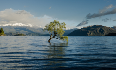 23个国家签署承诺，加强气候变化行动