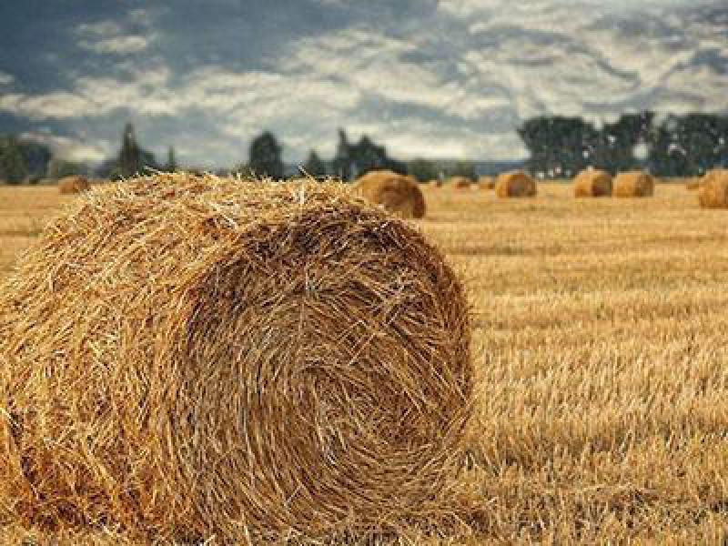 2.1吨秸秆可生成1吨初级生物液体燃料