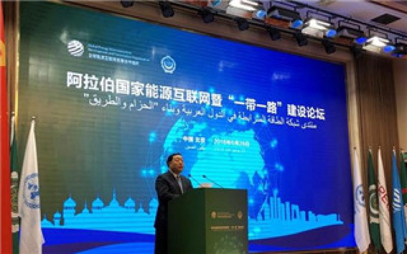 阿拉伯国家能源互联网暨“一带一路”建设论坛在京举行