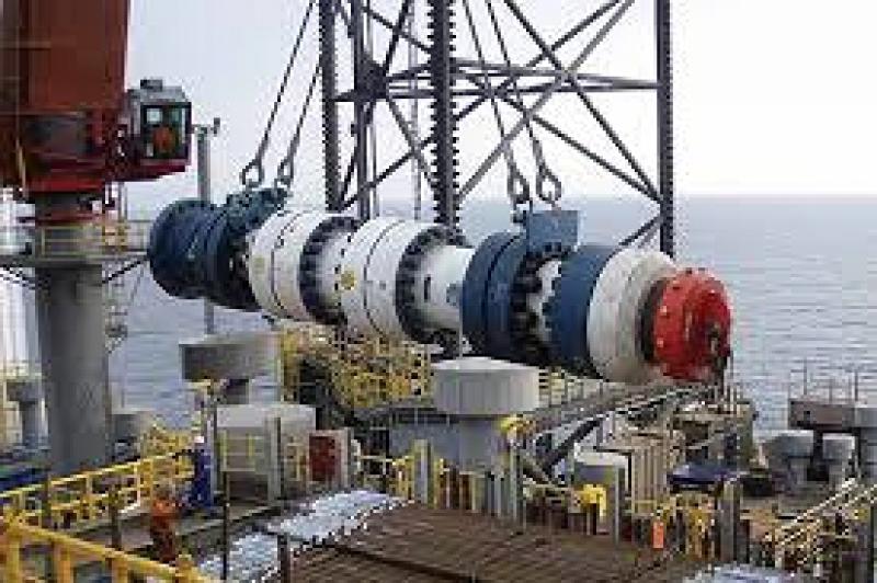 石油资源国务部长告诉外国投资者尼日利亚致力于天然气驱动的工业化