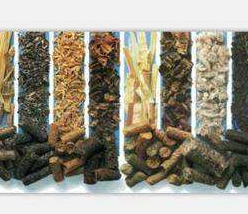 “清洁能源”木质颗粒背后的秘密