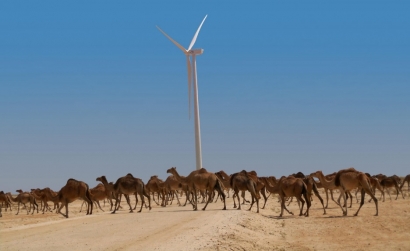 Elecnor被授予毛里塔尼亚第二个风电场的建设权