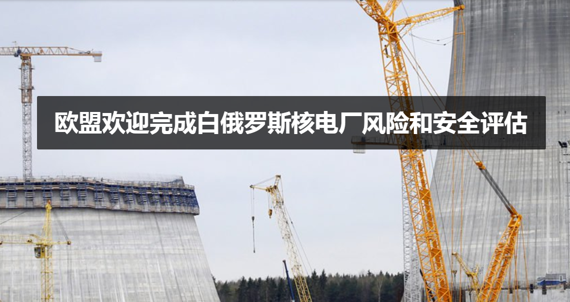 动力电池市场遭遇两重天