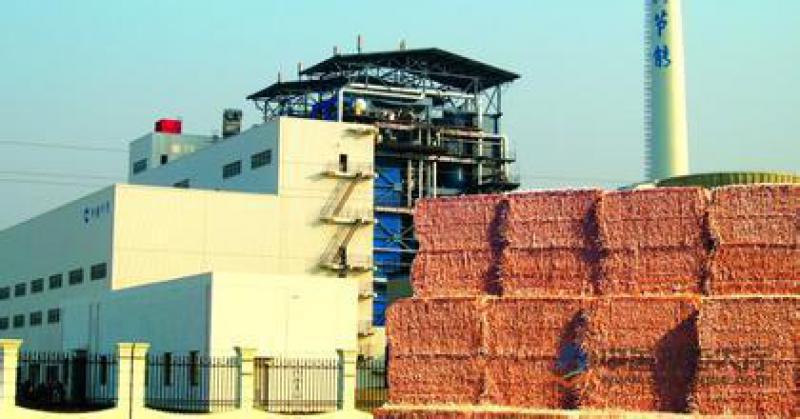 郭云高：失去“电价补贴” 生物质和燃煤耦合生物质发电该如何发展？