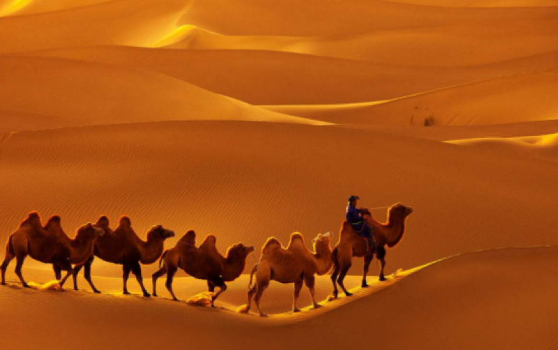 全国首座菲涅尔式太阳能光热发电示范电站在敦煌开建