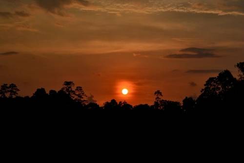 斯里兰卡向迪图尔颁发了10兆瓦的太阳能发电厂