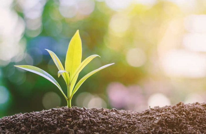 芬欧汇川加入可持续发展倡议，以加强供应链的可持续性