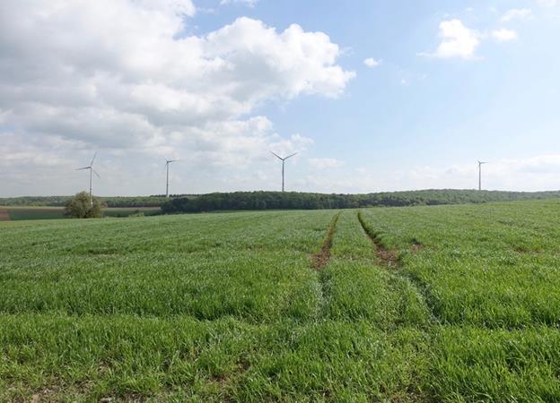 12兆瓦风电场采用Enercon E-115涡轮机正式开通