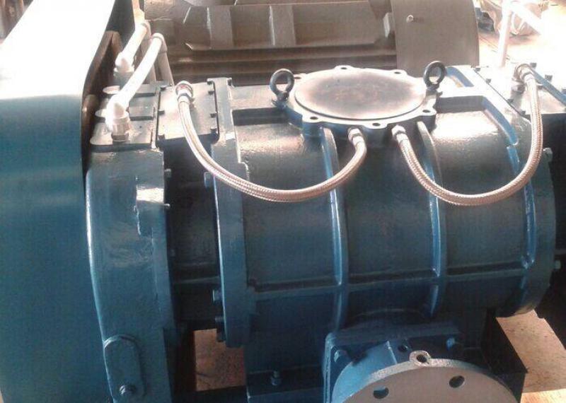 津巴布韦：在Domboshava打破性别障碍的沼气