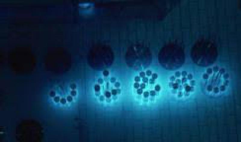 法电与俄罗斯国家原子能公司签署核燃料研究合同