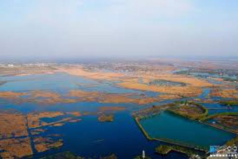 河北雄安新区将建设生态湿地净化系统