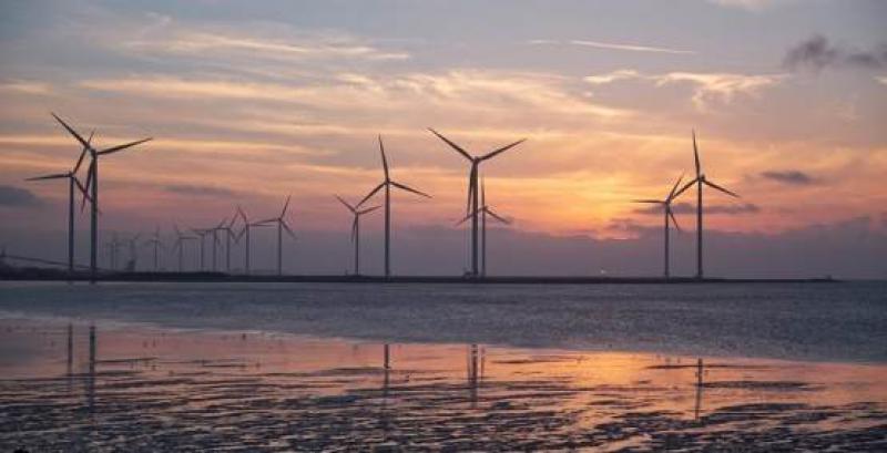 世界上最大的海上风电场的竞标日期截止到10月23号