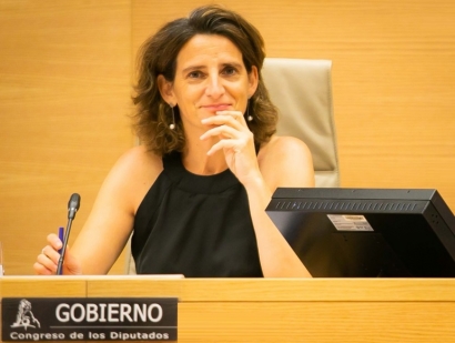 今年年底之前将制定一部关于气候变化和能源转型的法律