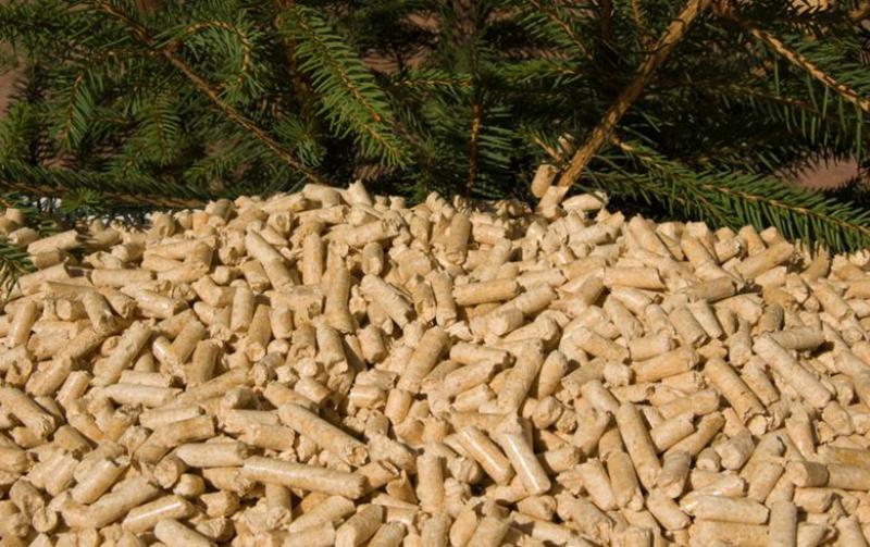 住友重机工业有限公司(SHI)在日本，韩国获得生物质项目