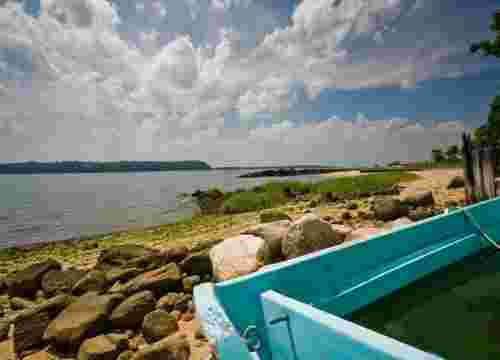 纽约州将在年底前举行首次800MW海上风力征集活动