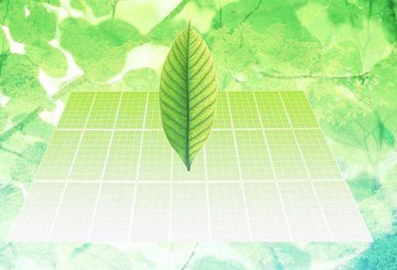 巴基斯坦的绿色能源潜力