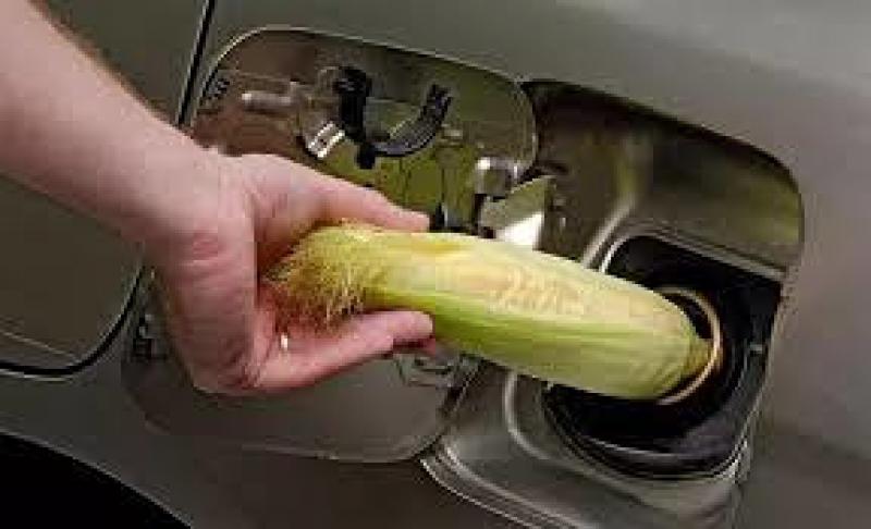 中国海油首家车用乙醇汽油配送中心开建