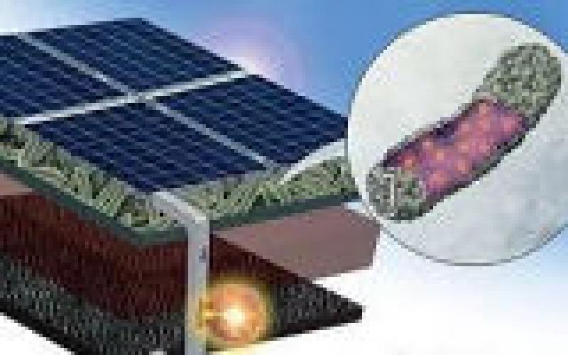 加拿大开发出大肠杆菌太阳能电池