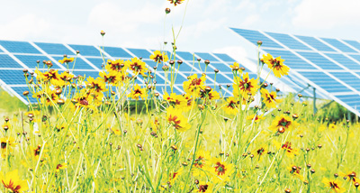 青海打造“水光互补”样本工程