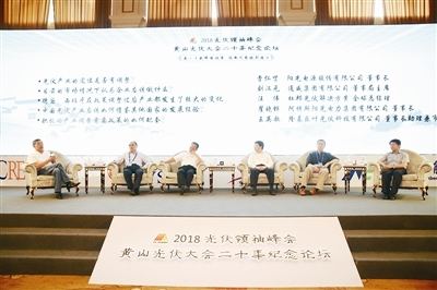 “531新政”开启微利时代 海外市场或成光伏突围新方向